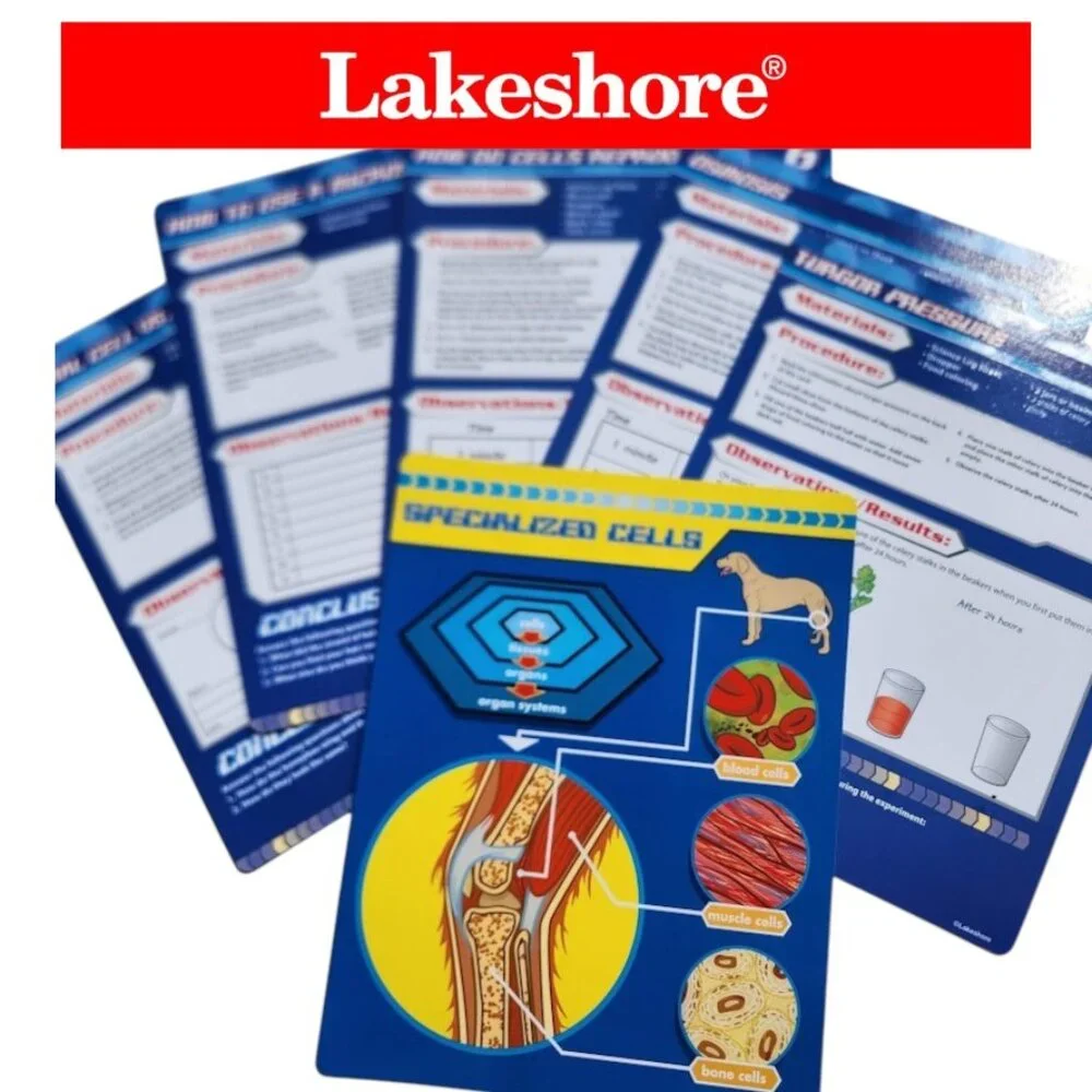 Lakeshore Learning Earth Environment Science Activity Book Set Kit Homeschooling