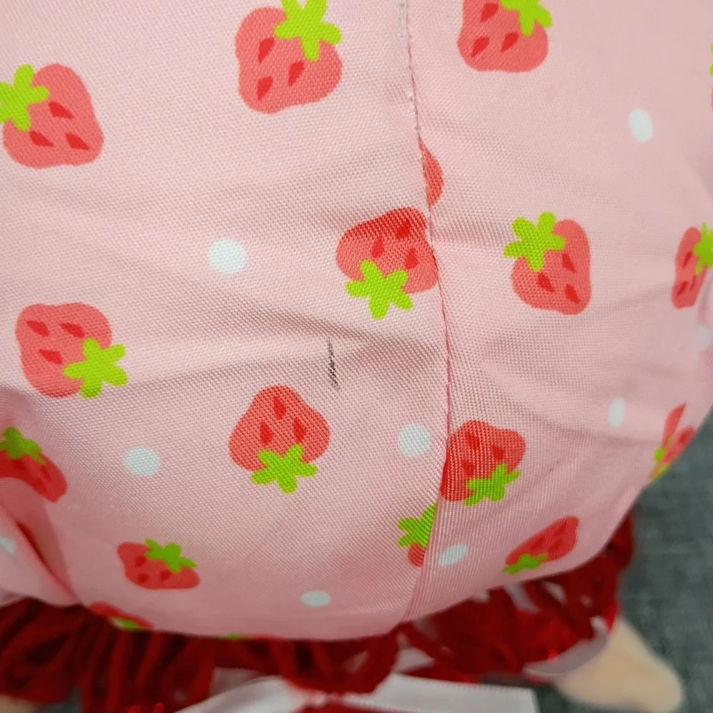Strawberry Shortcake strawberry shortcake