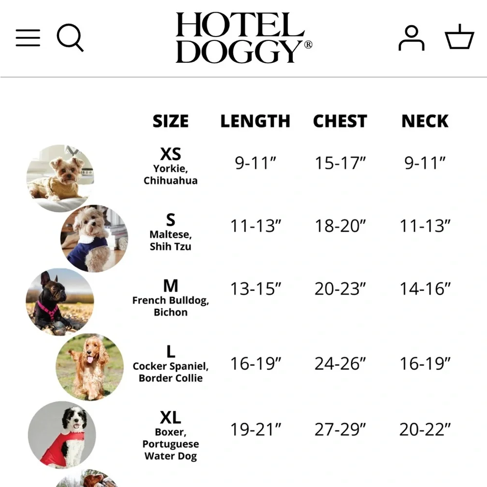 Hotel Doggy see environment discount