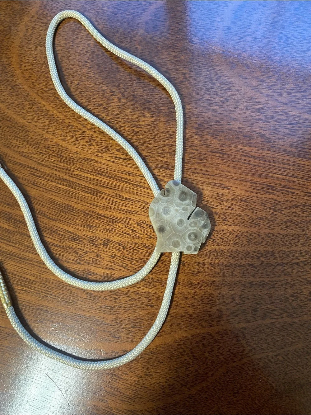 Source Unknown petoskey stone