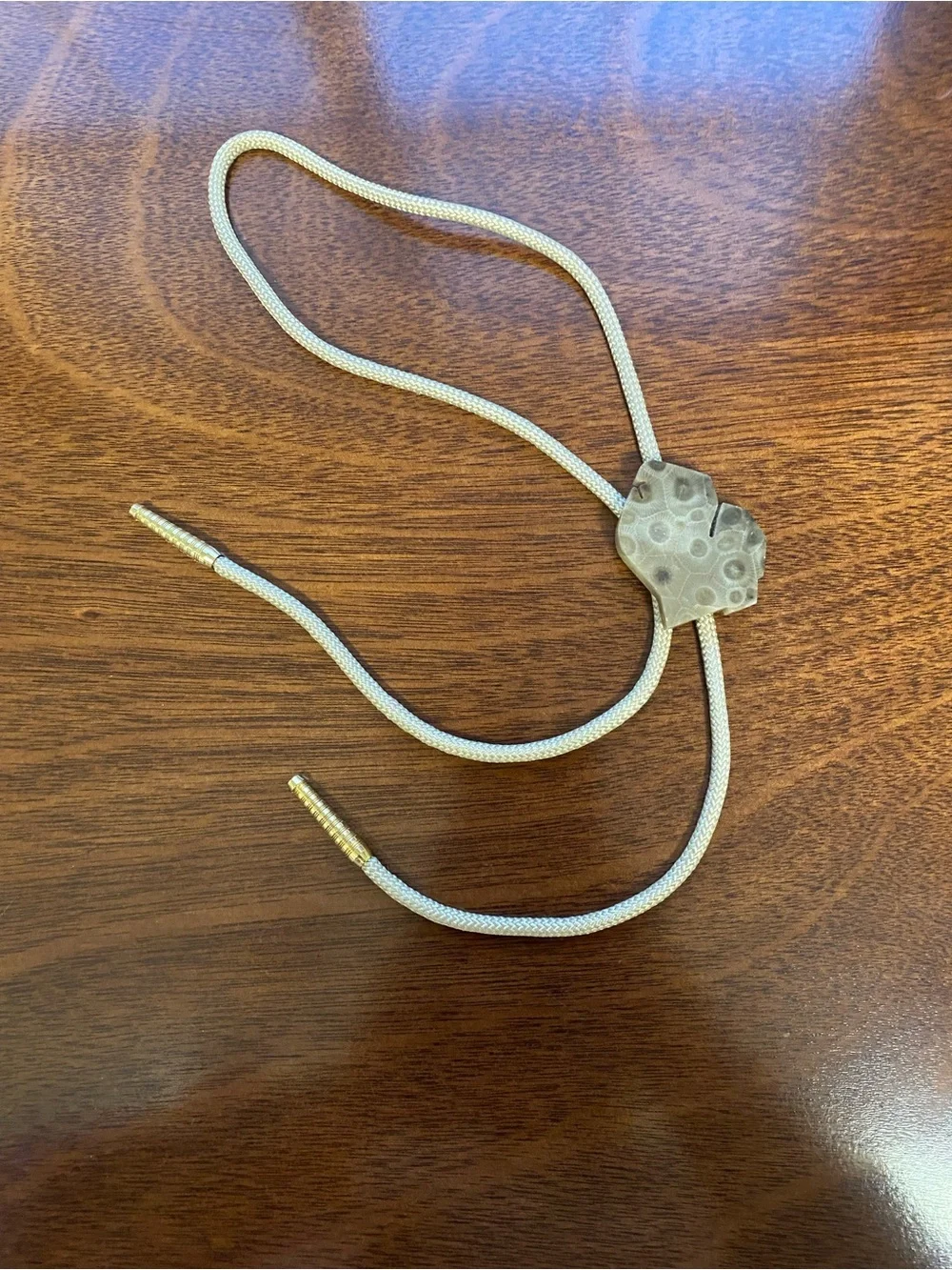 Source Unknown petoskey stone