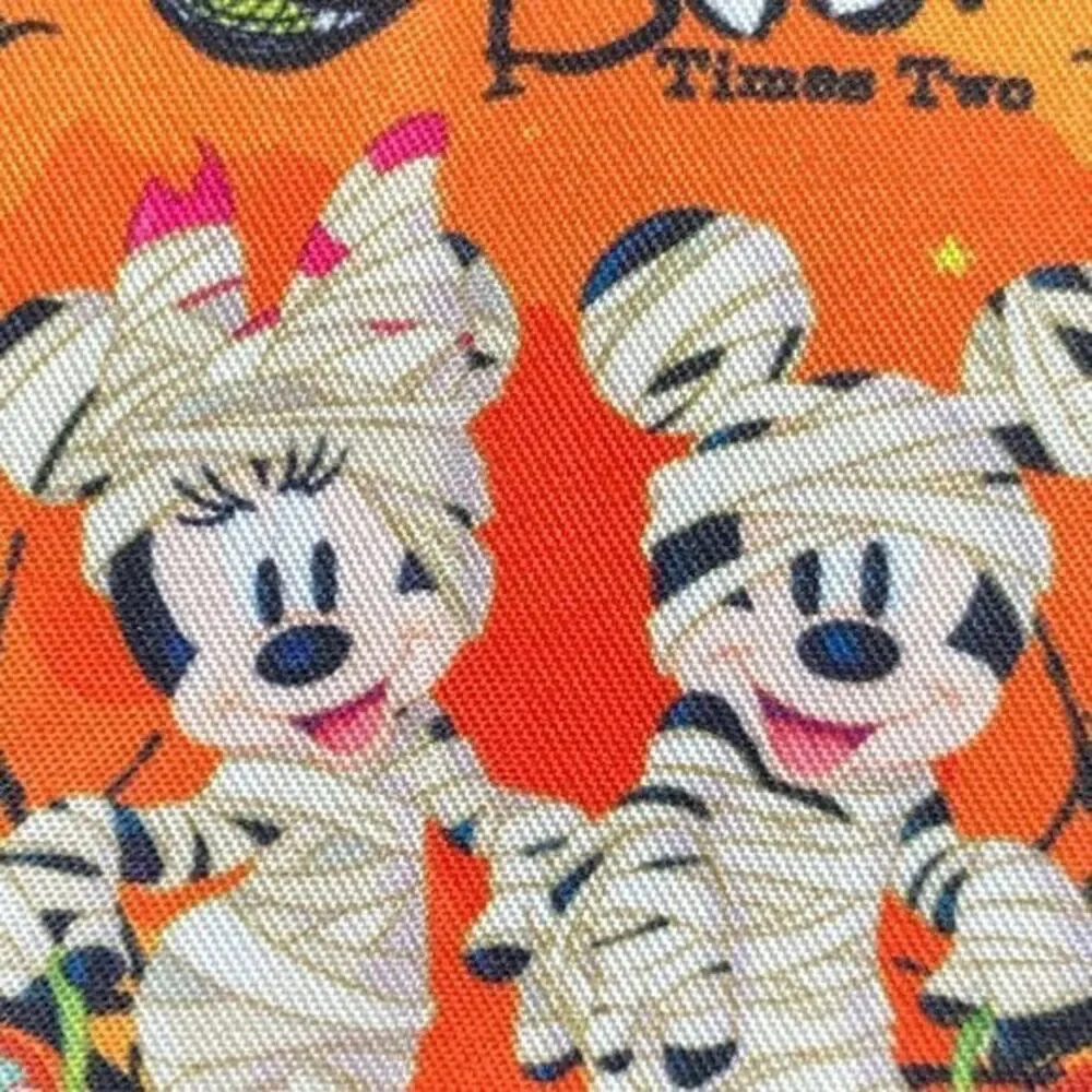 Disney mickey minnie