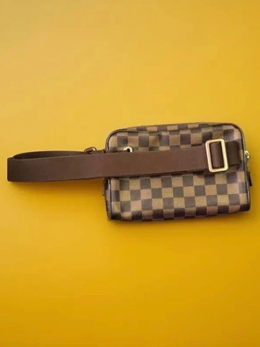 Louis Vuitton brooklyn bum