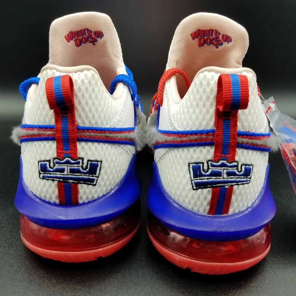 Nike lebron xvii