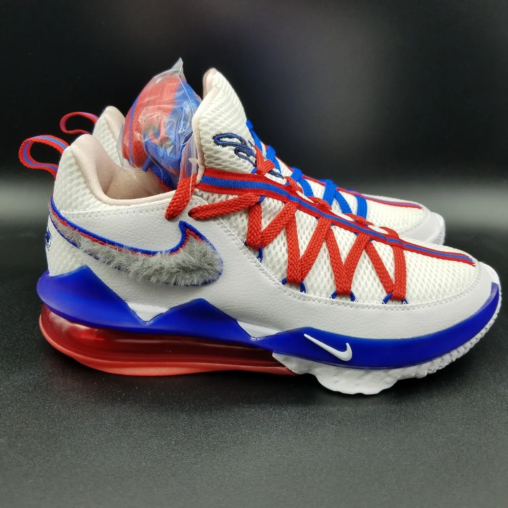 Nike lebron xvii