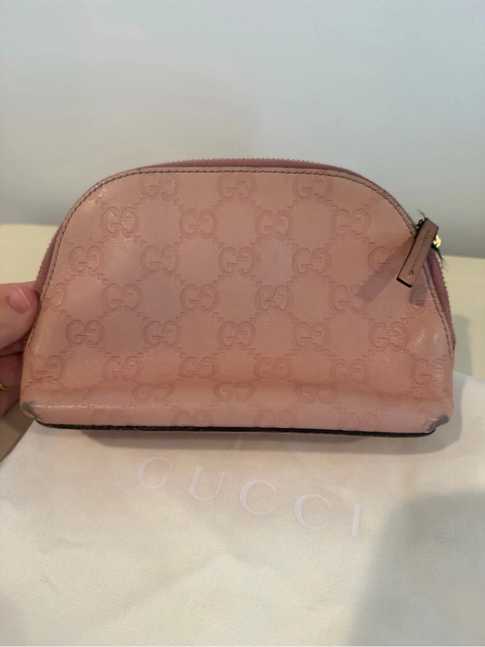 Gucci cosmetic pouch