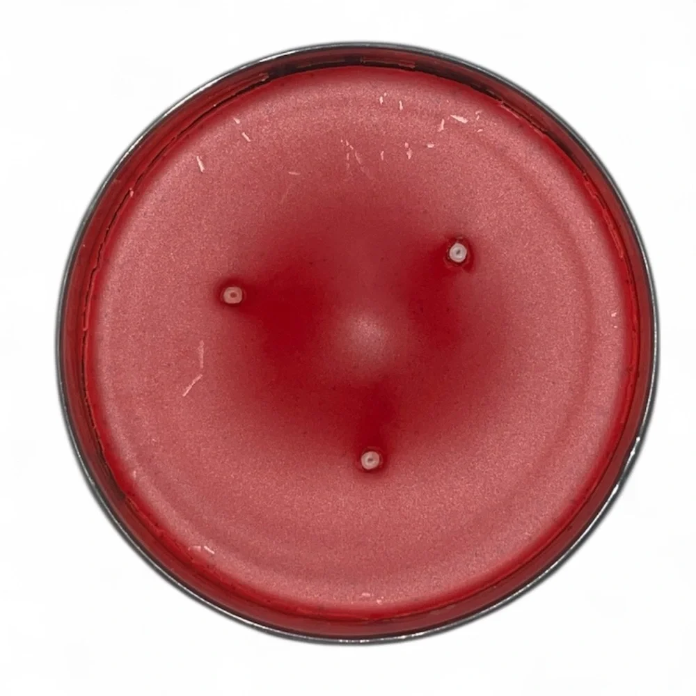 Goose Creek hearth hearted candle