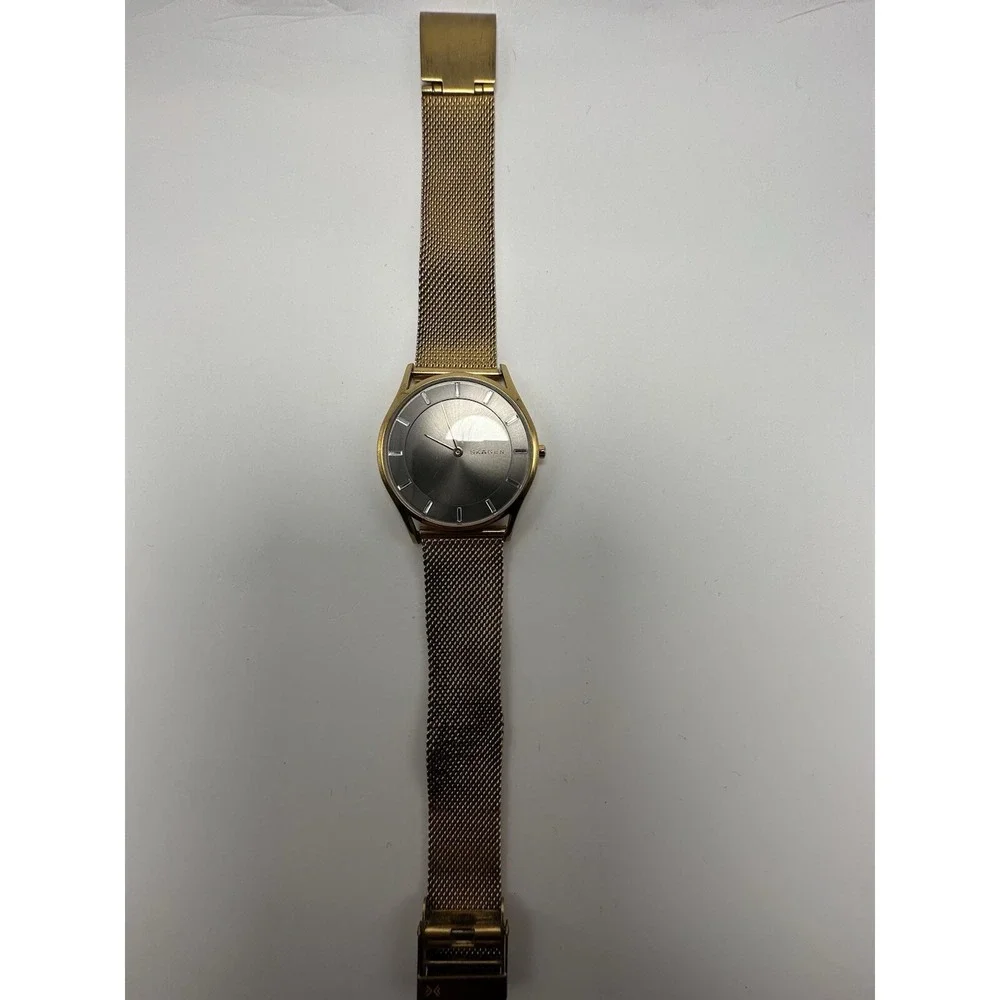 Skagen it has