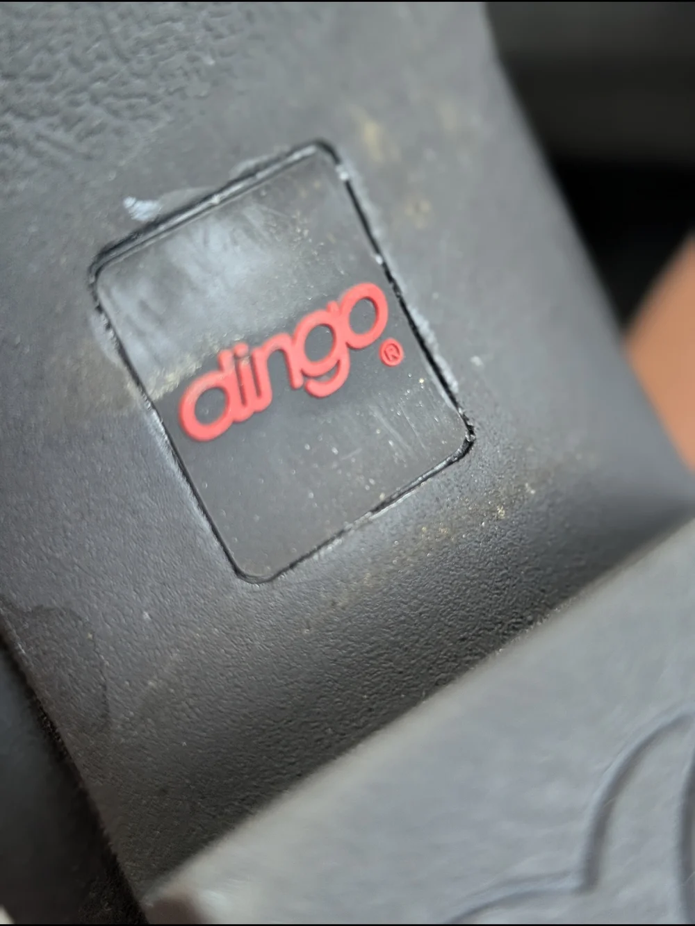 dingo black western