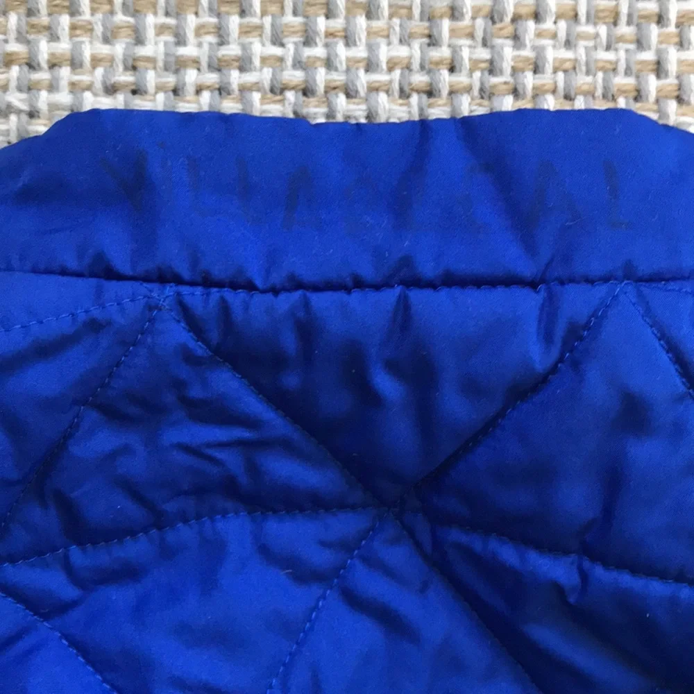 Patagonia reversible vest