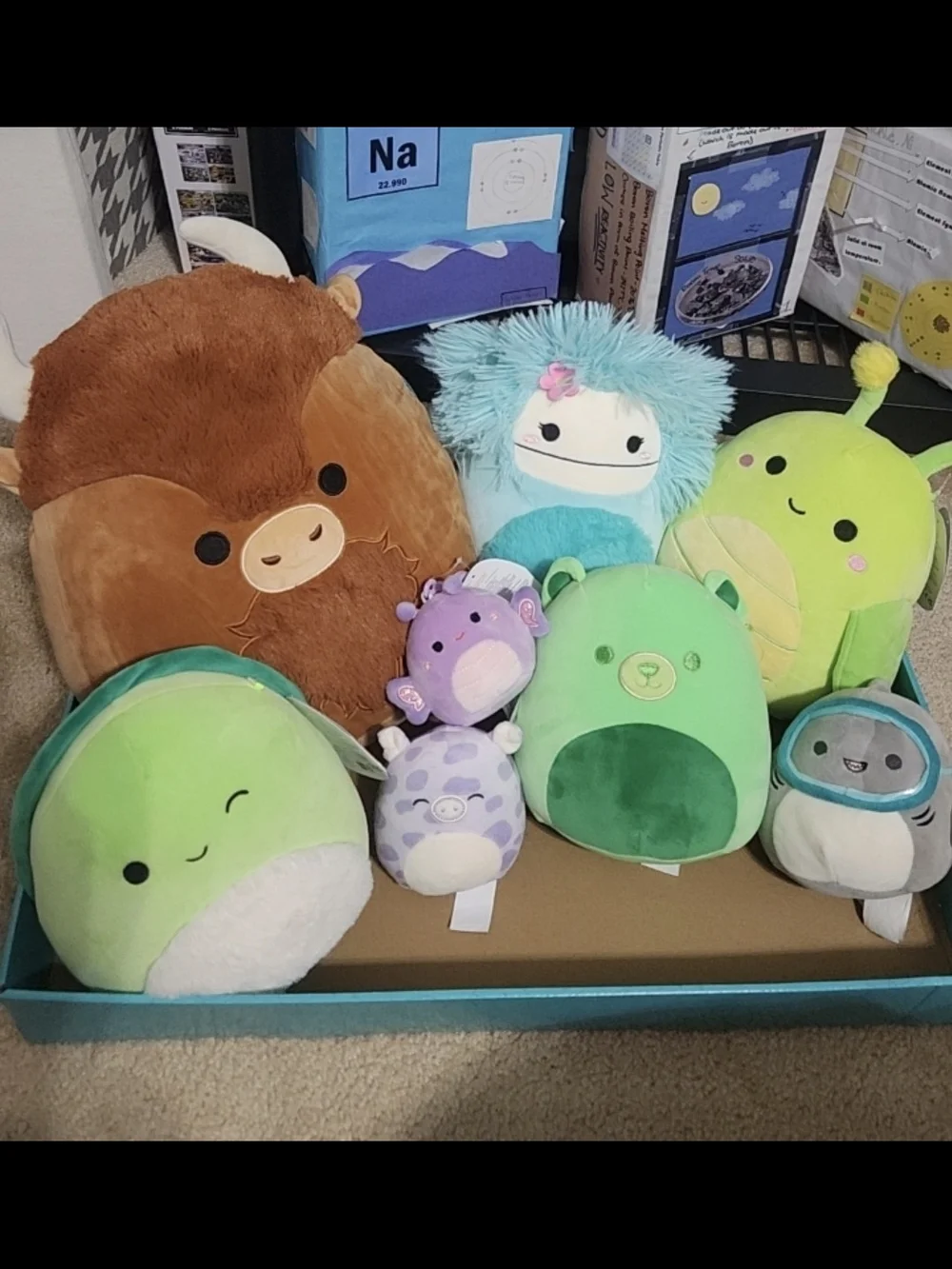 Squishmallows sold individually