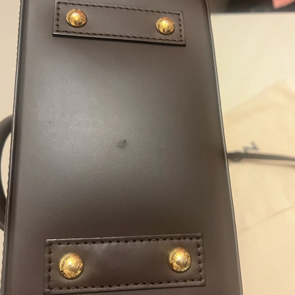 Louis Vuitton authentic louis