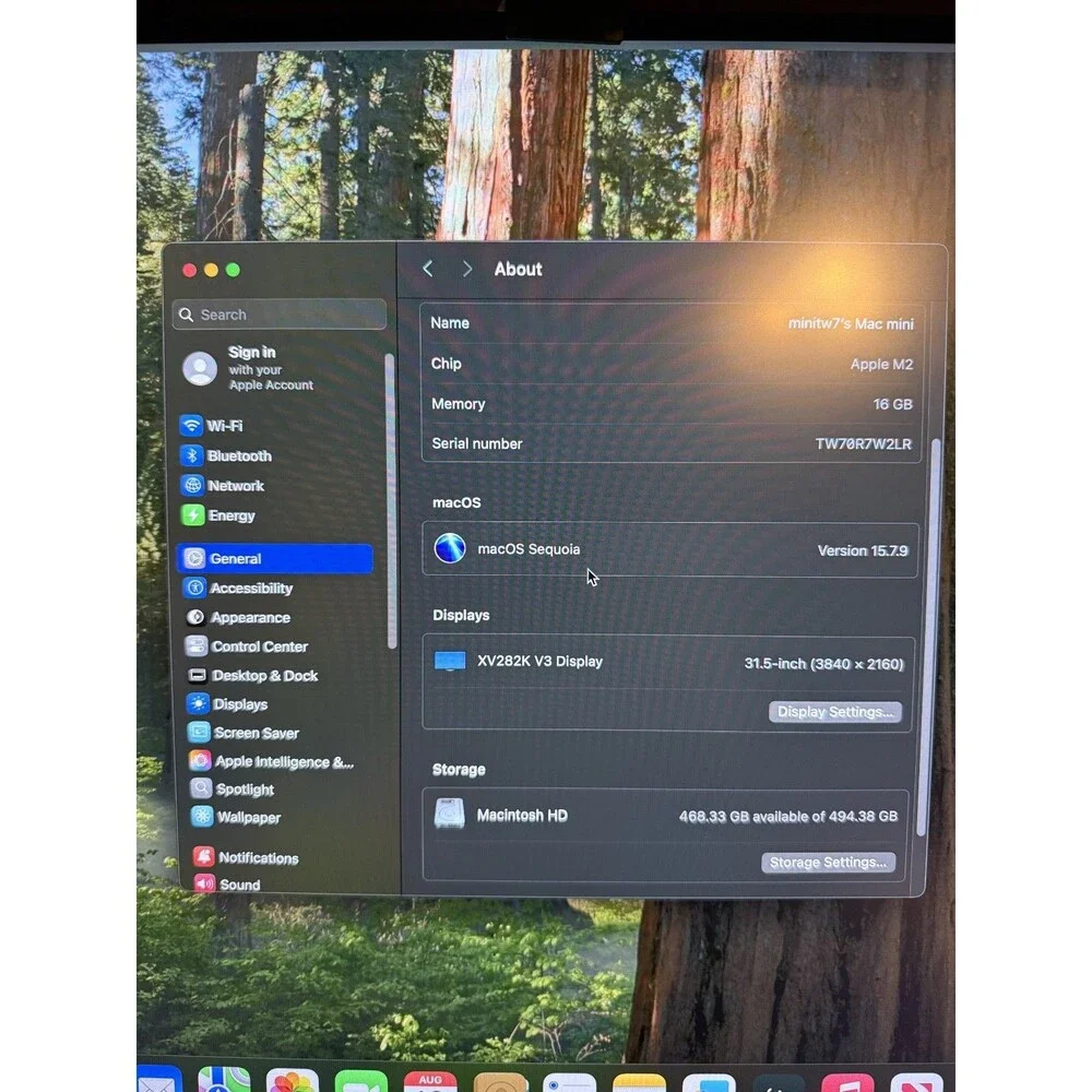 Apple mac mini