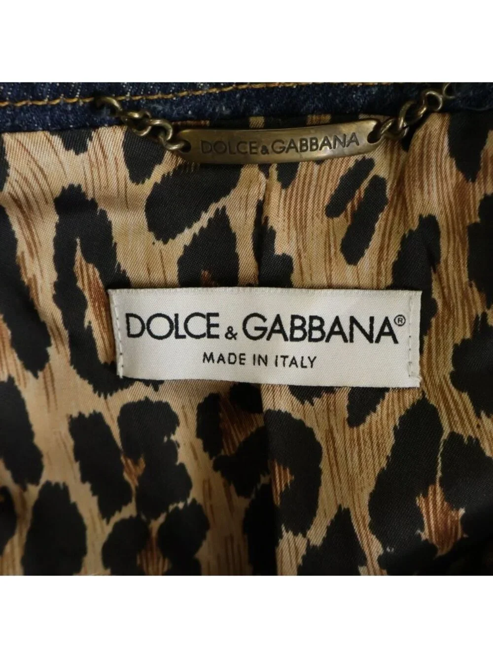 Dolce & Gabbana accurate pet wear