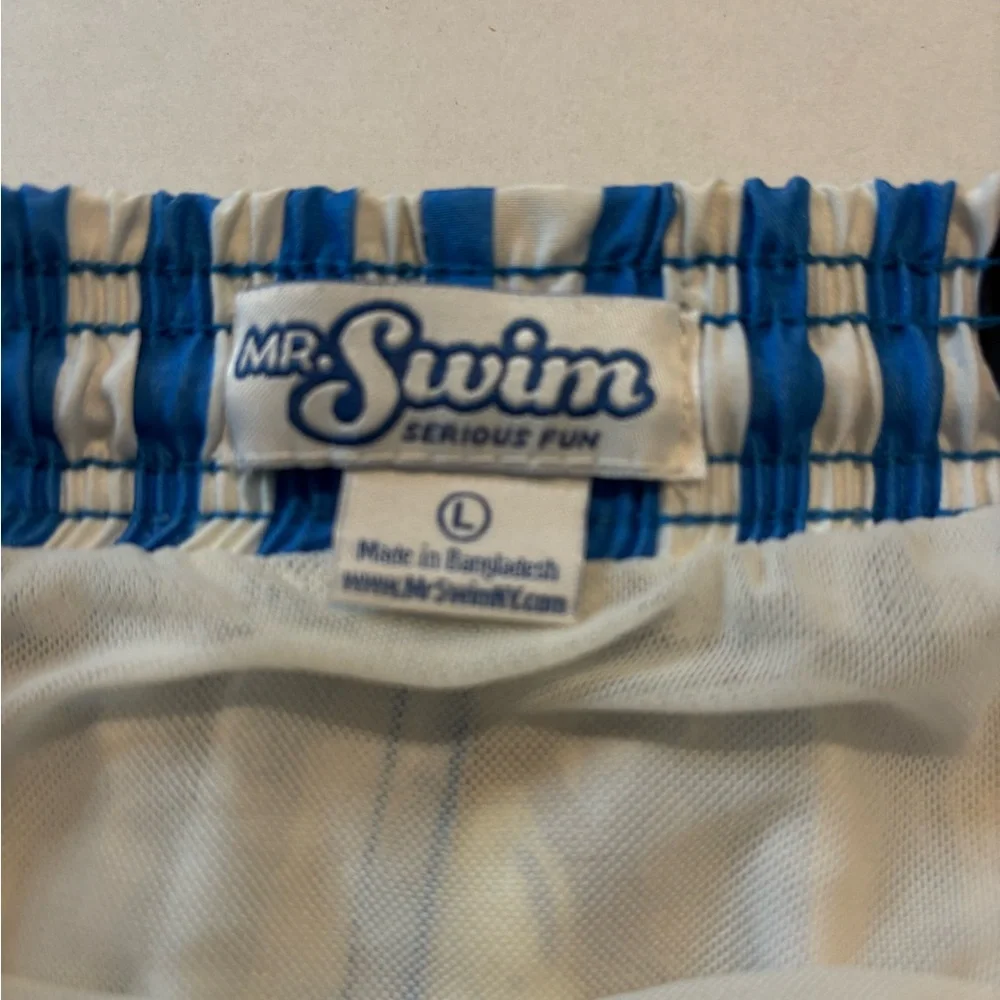 Mr. Swim preowned excellent