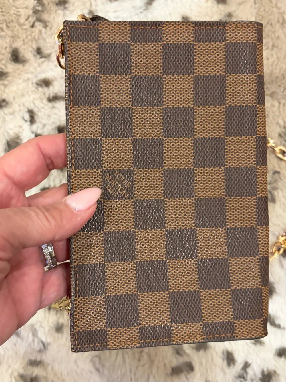 Louis Vuitton Damier Ebene Pouch