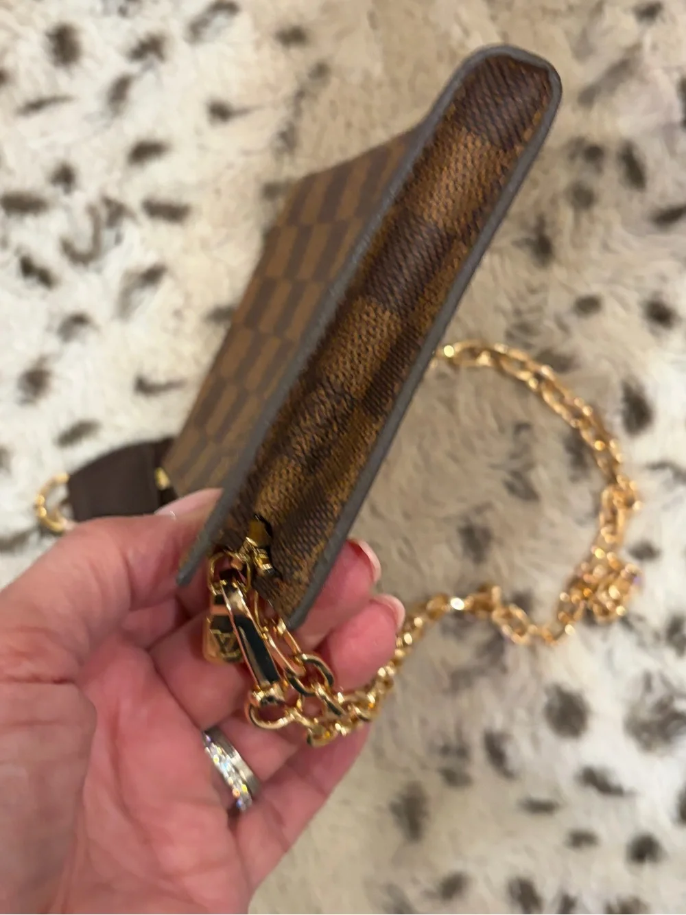 Louis Vuitton Damier Ebene Pouch