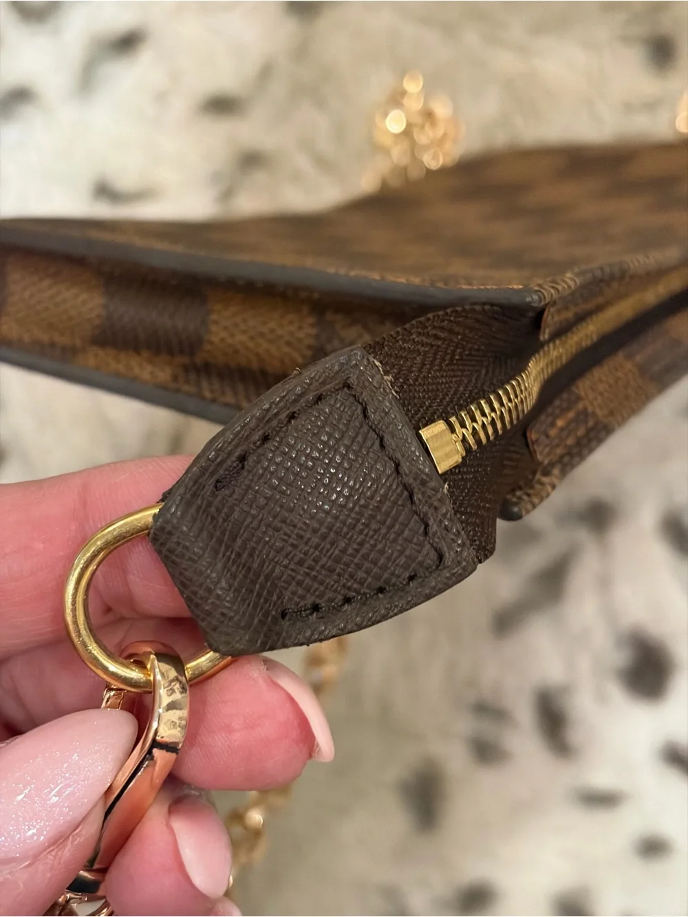 Louis Vuitton Damier Ebene Pouch