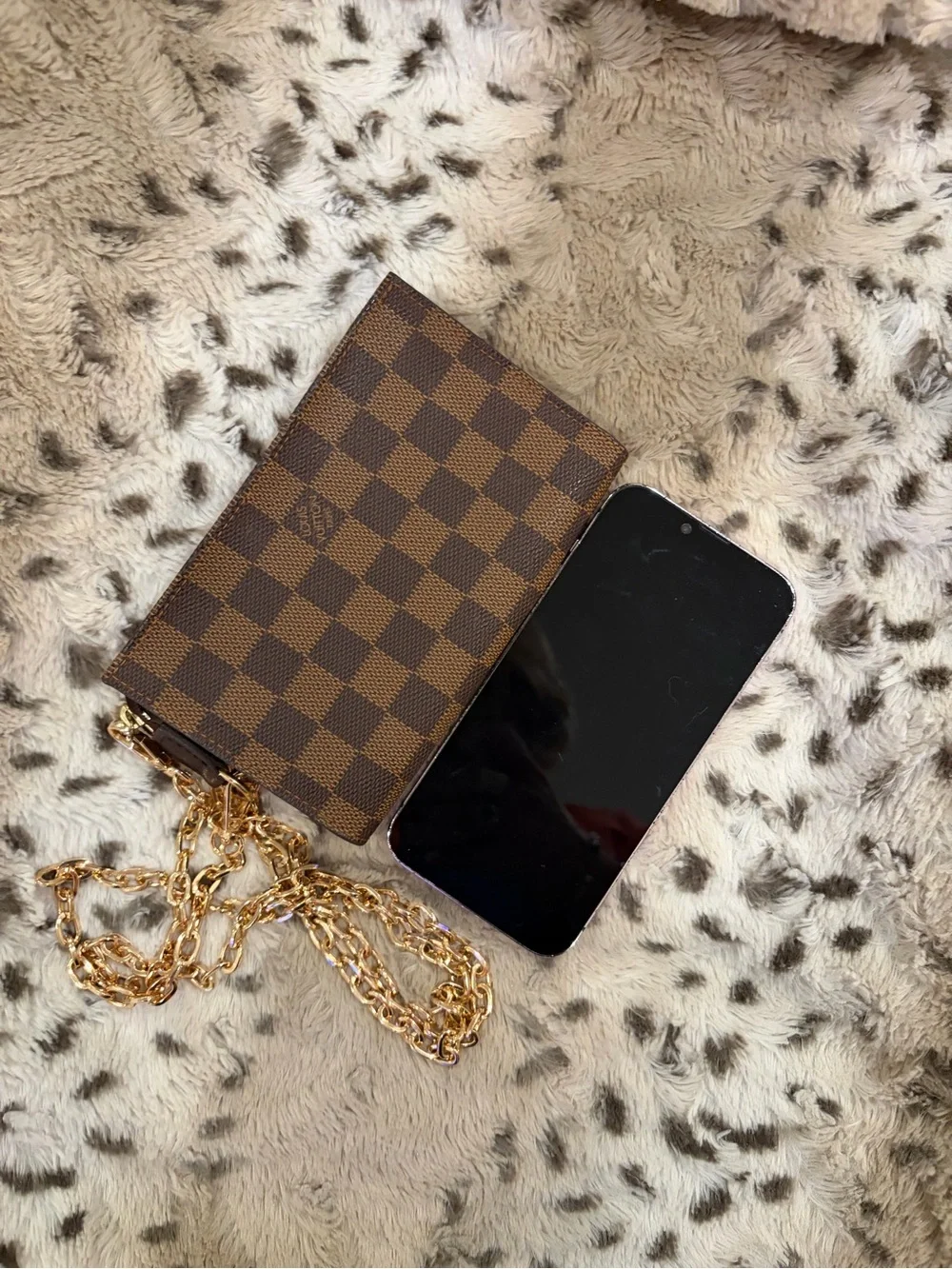 Louis Vuitton Damier Ebene Pouch