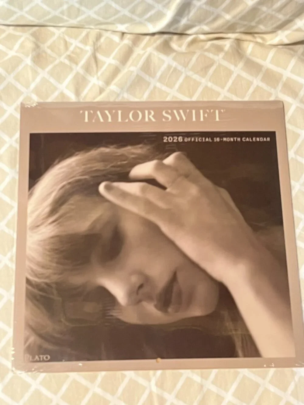 Taylor Swift / Plato finds 🎁 collectibles
