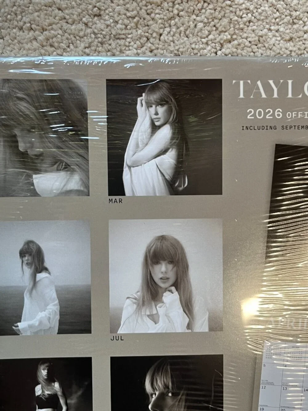 Taylor Swift / Plato fans finds 2025