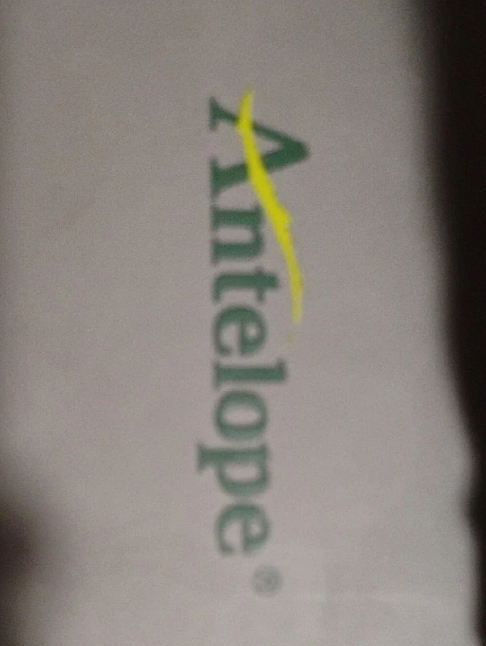 Antelope stylish ankle