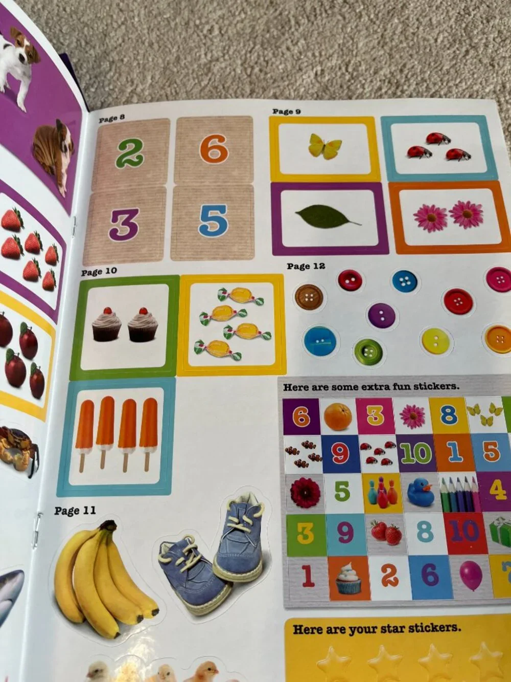 My Little Pony and others kids activity