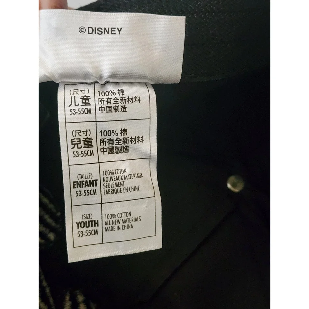 N/A disney parks