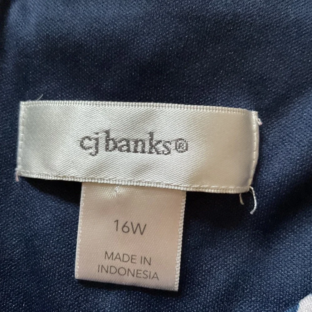 CJ Banks cj banks