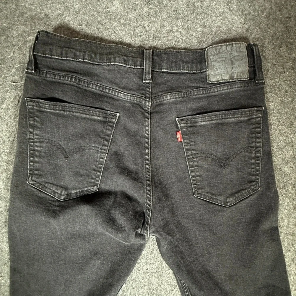 Levis levis 512