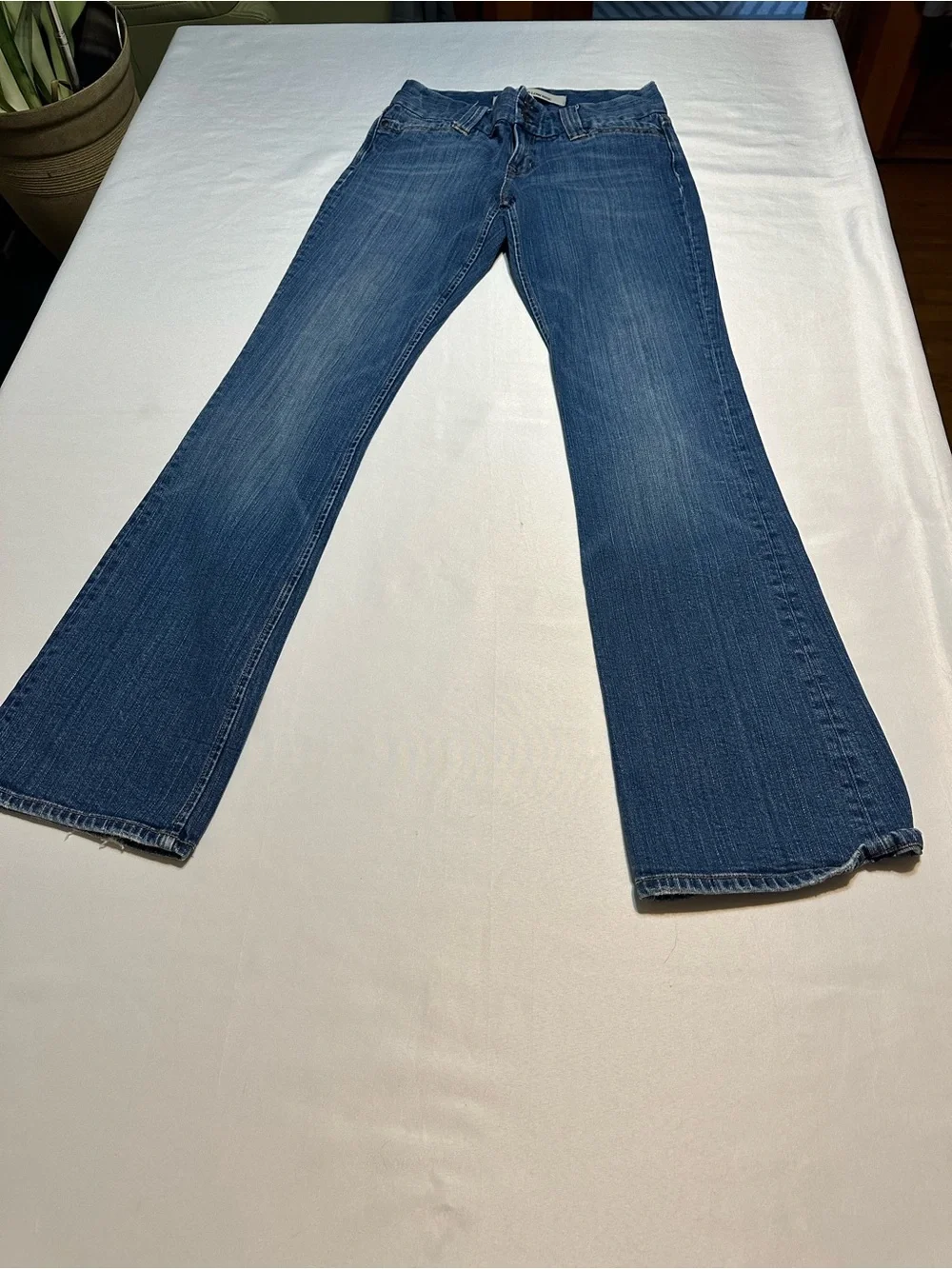 GAP medium blue