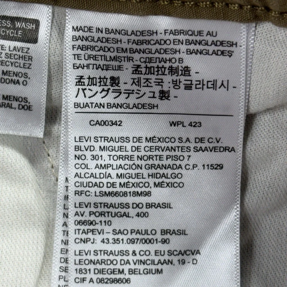 Levis levi cargo