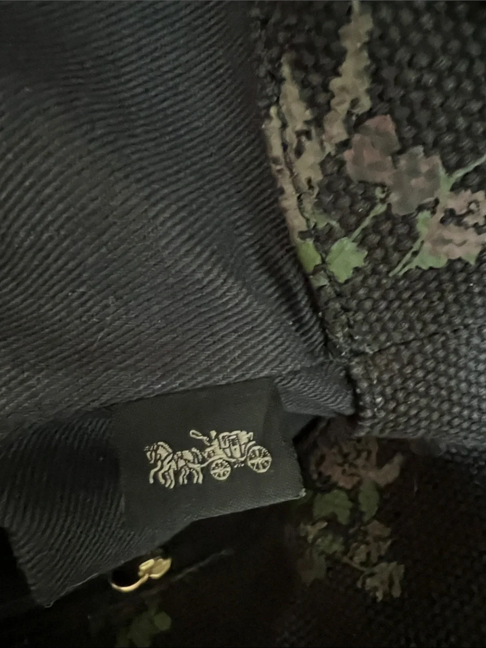 Coach collab artist