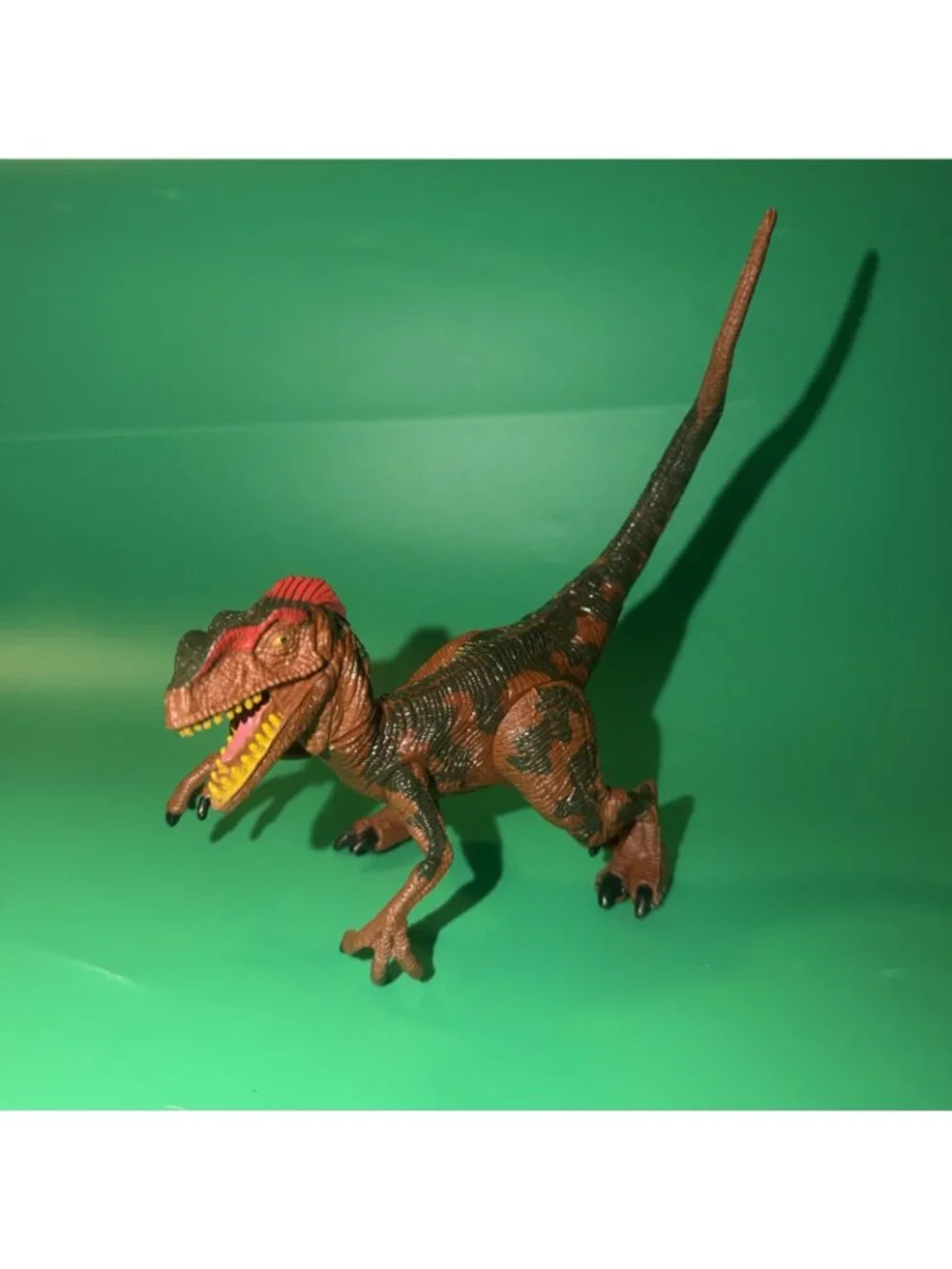 Kid Galaxy collectible released features