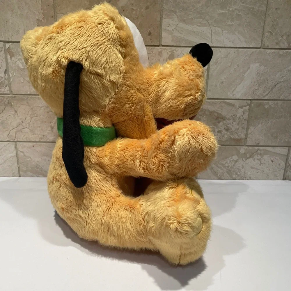 Disney parks pluto