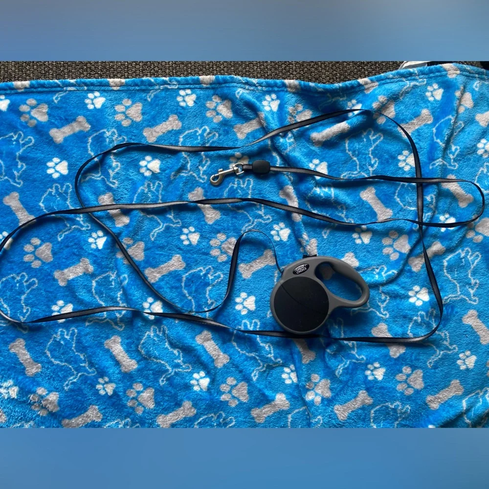 6 Foot Retractable Leash