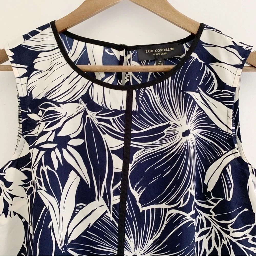 Paul Costelloe paul costelloe