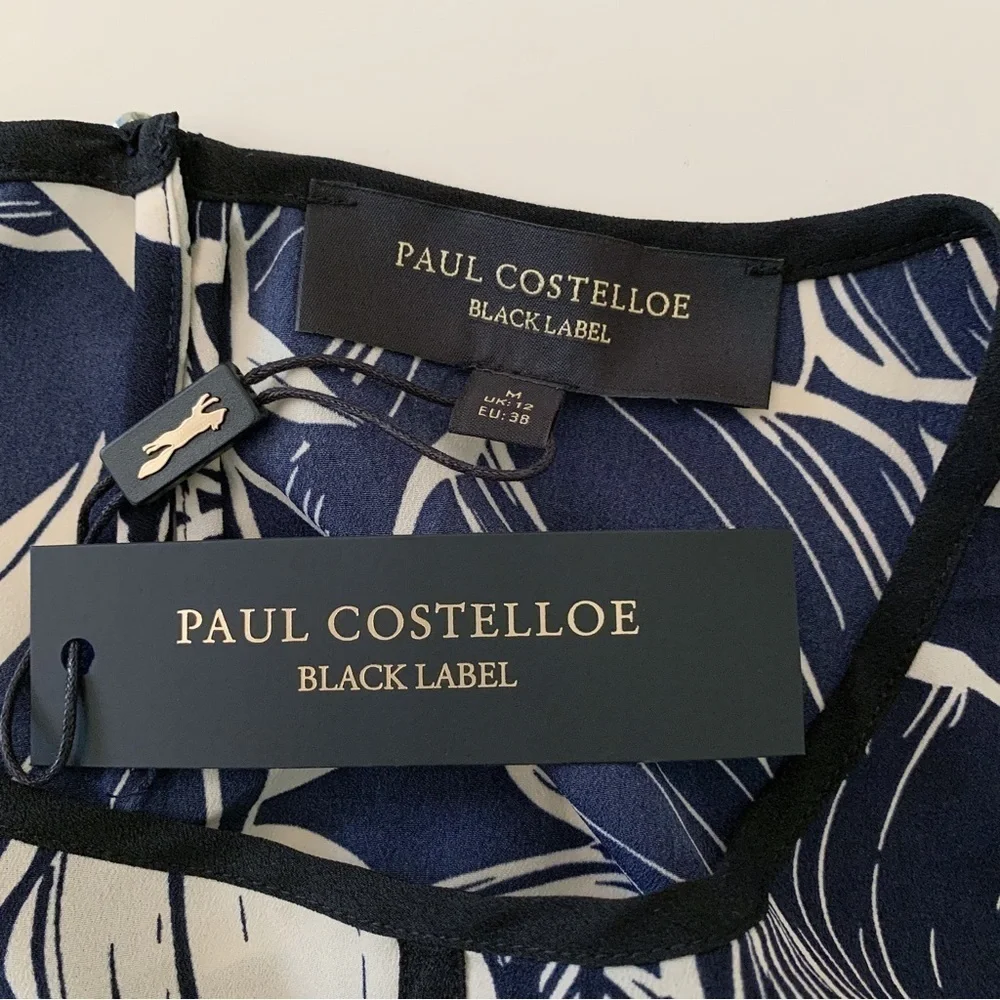 Paul Costelloe paul costelloe
