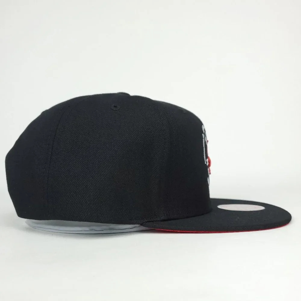 Mitchell & Ness toronto raptors