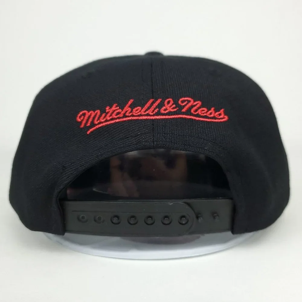Mitchell & Ness toronto raptors