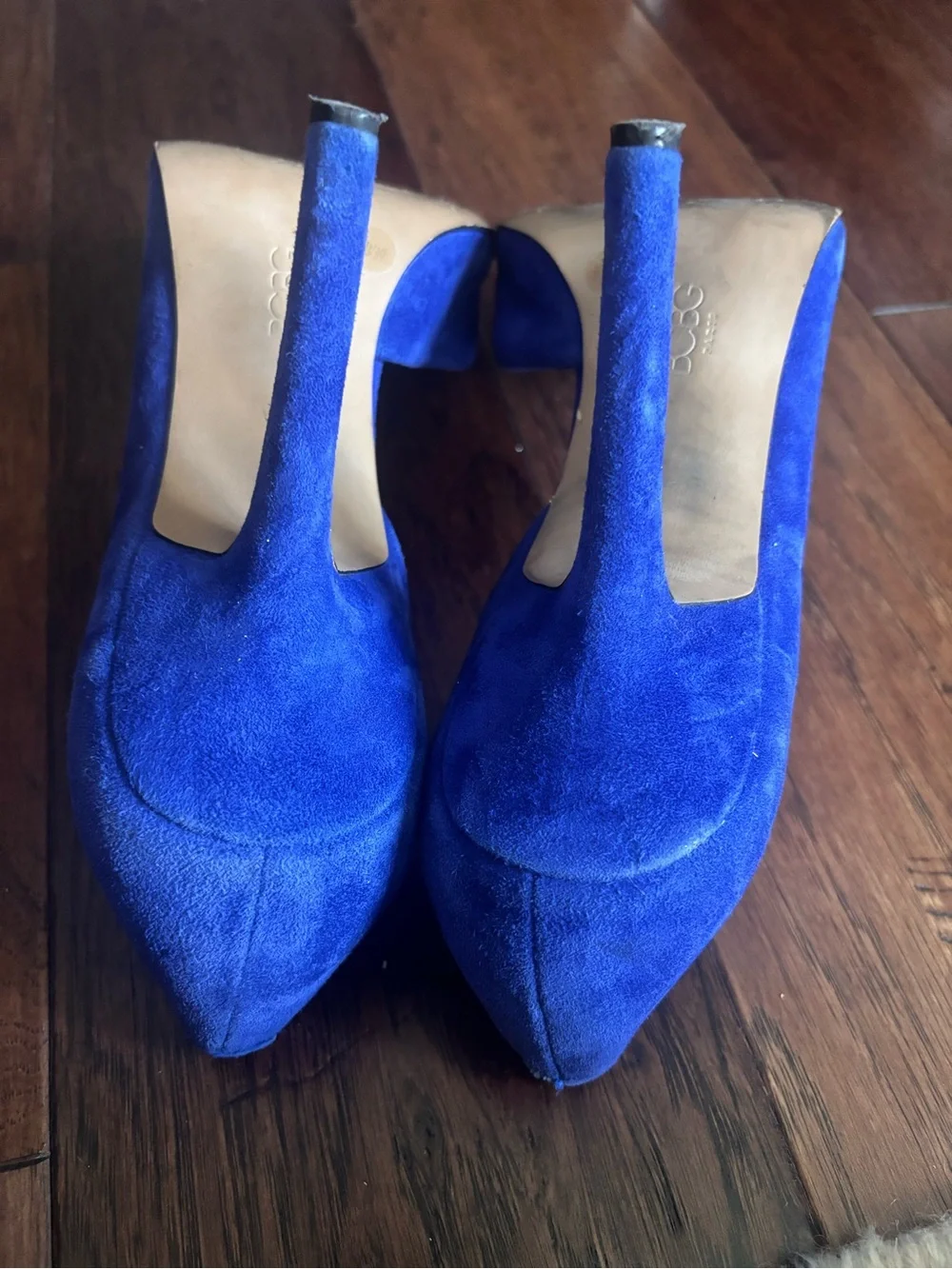 BCBG sleek pointed