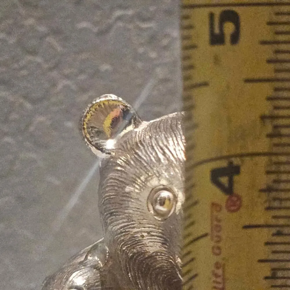 Source Unknown silver plate