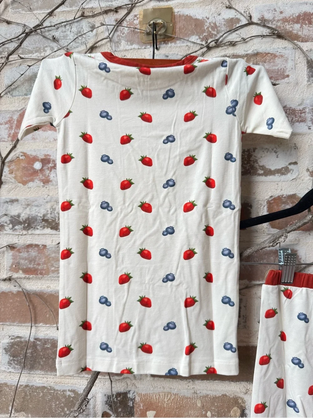 Larkspur brand baby