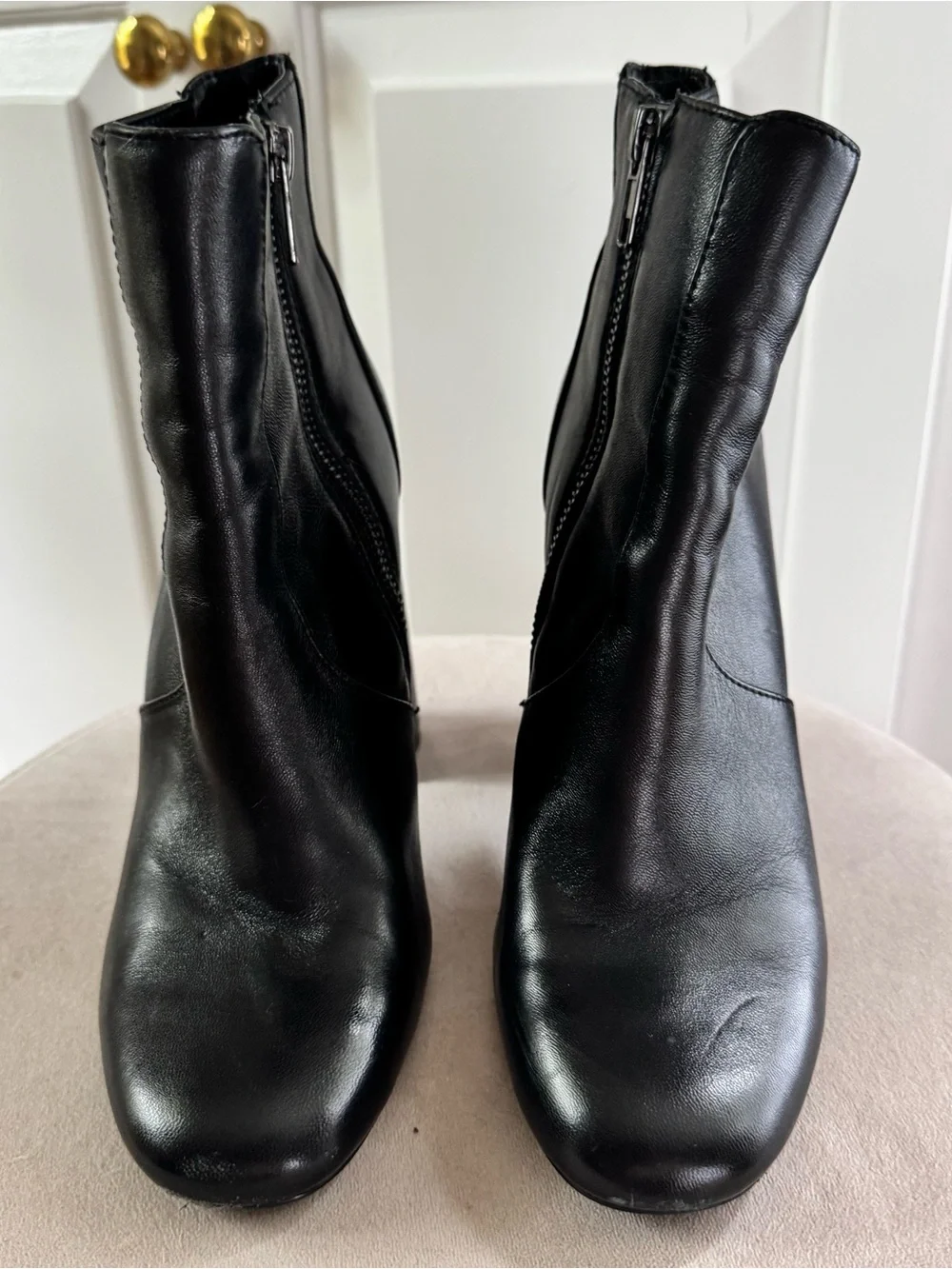 Steve Madden brand steve