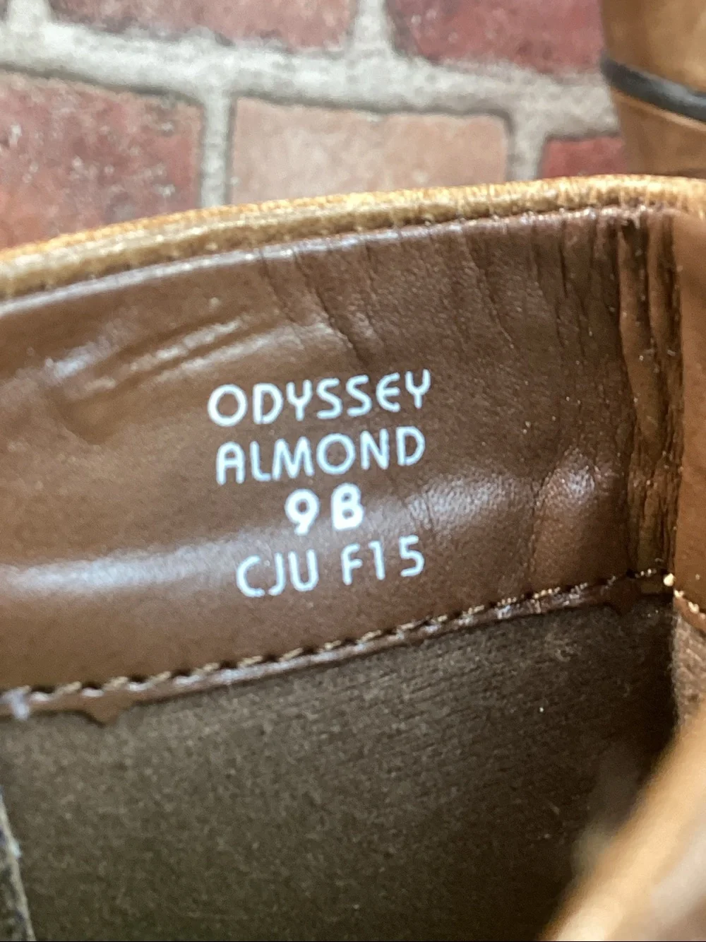 Earth odyssey almond
