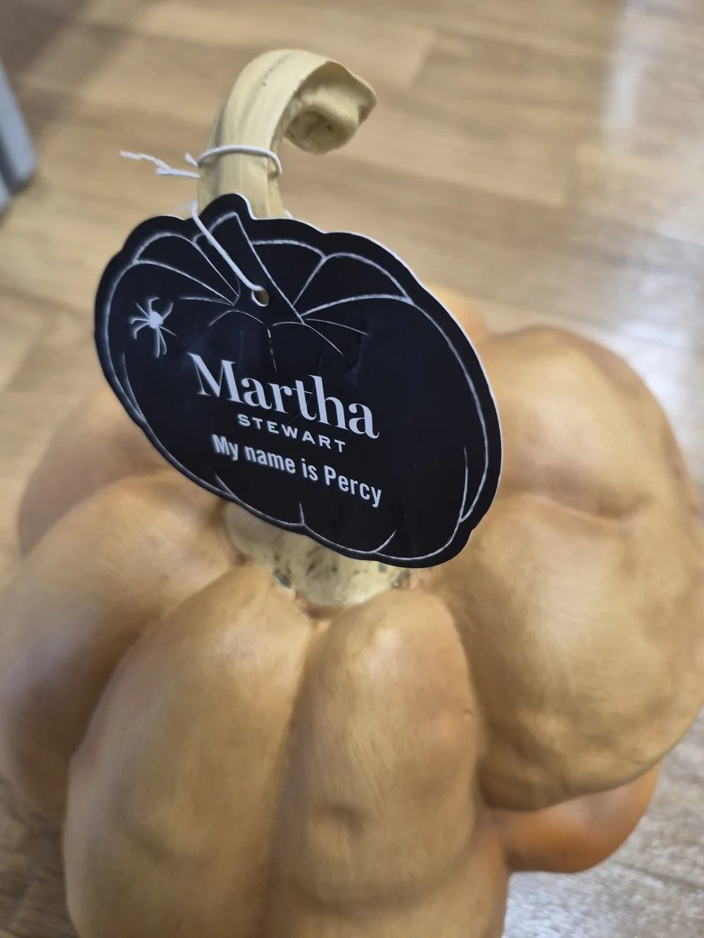 Martha Stewart brand new