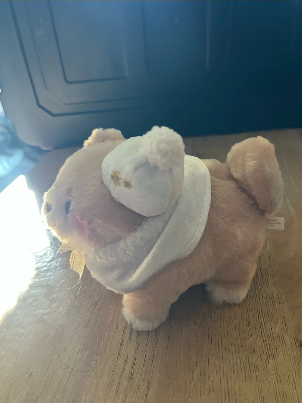Chuken Mochi Shiba Hokkori Cape soft plush