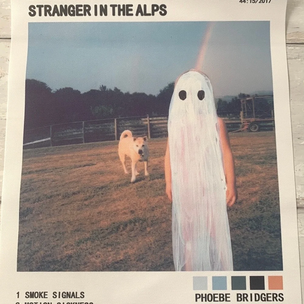 Phoebe Bridgers phoebe bridgers
