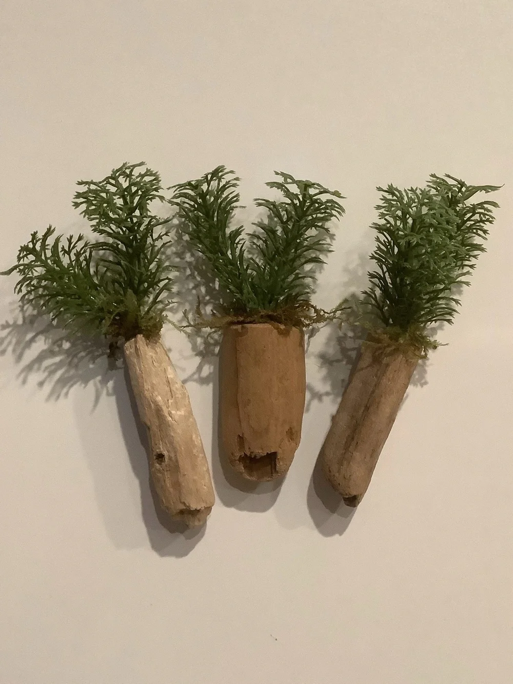 Driftwood Art, Driftwood Faux Plant Magnets, Driftwood Faux Greenery Coastal Art