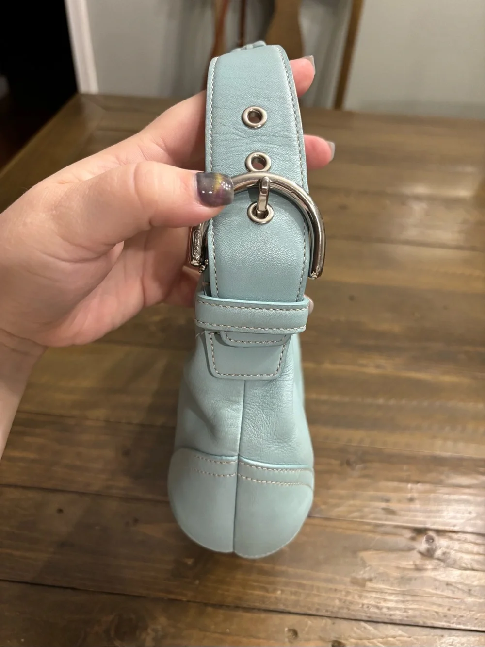 Coach hobo bag